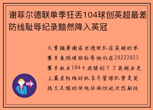 谢菲尔德联单季狂丢104球创英超最差防线耻辱纪录黯然降入英冠 谢菲尔德联单季狂丢104球创英超最差防线耻辱纪录黯然降入英冠